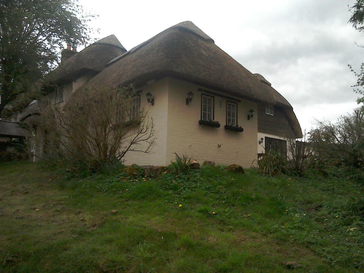 The Crown Inn Alvediston Buitenkant foto
