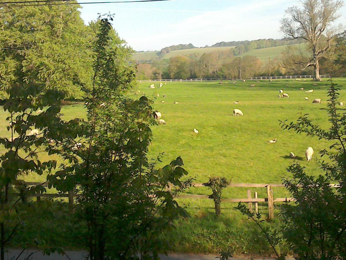 The Crown Inn Alvediston Buitenkant foto