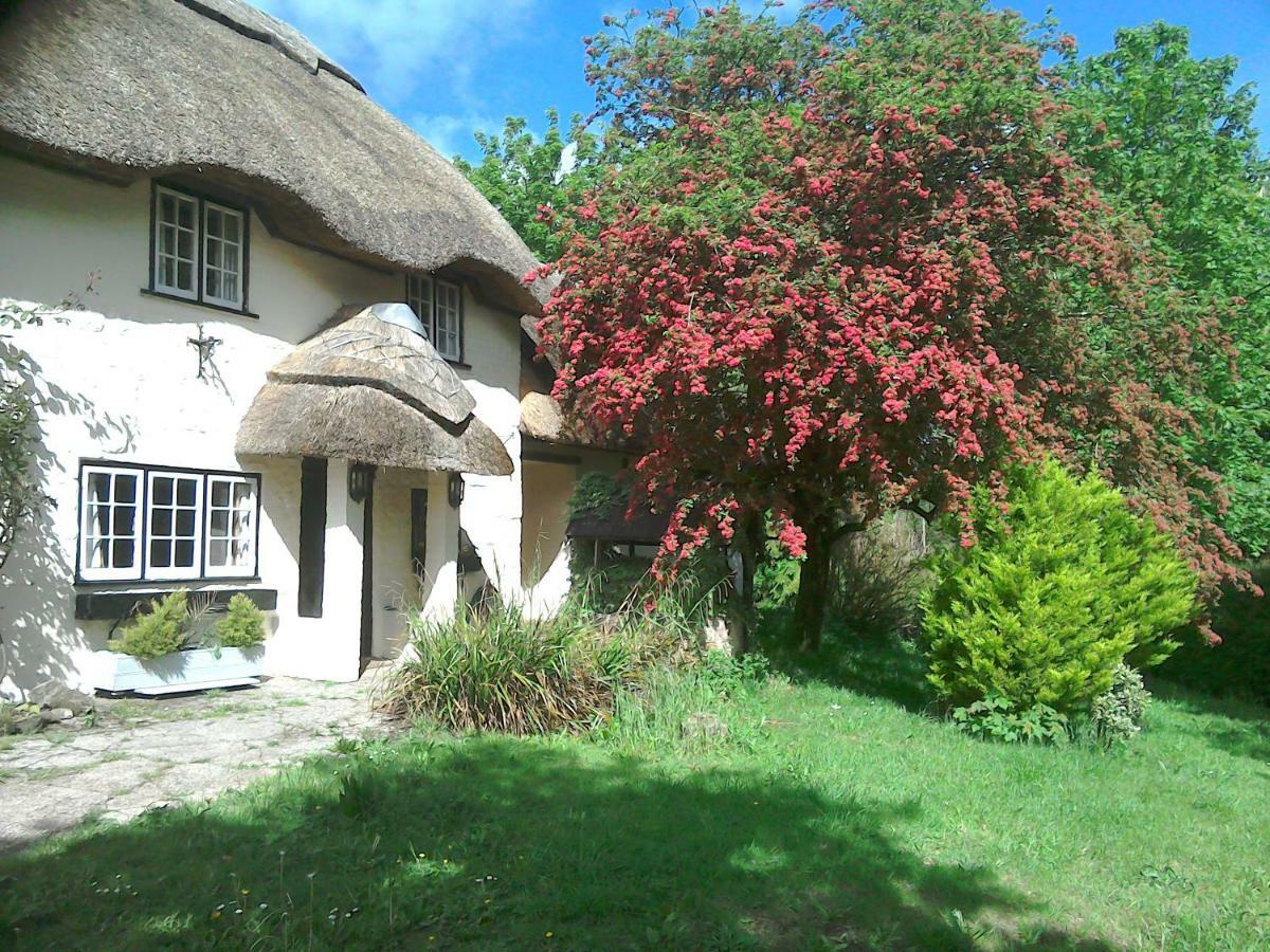 The Crown Inn Alvediston Buitenkant foto