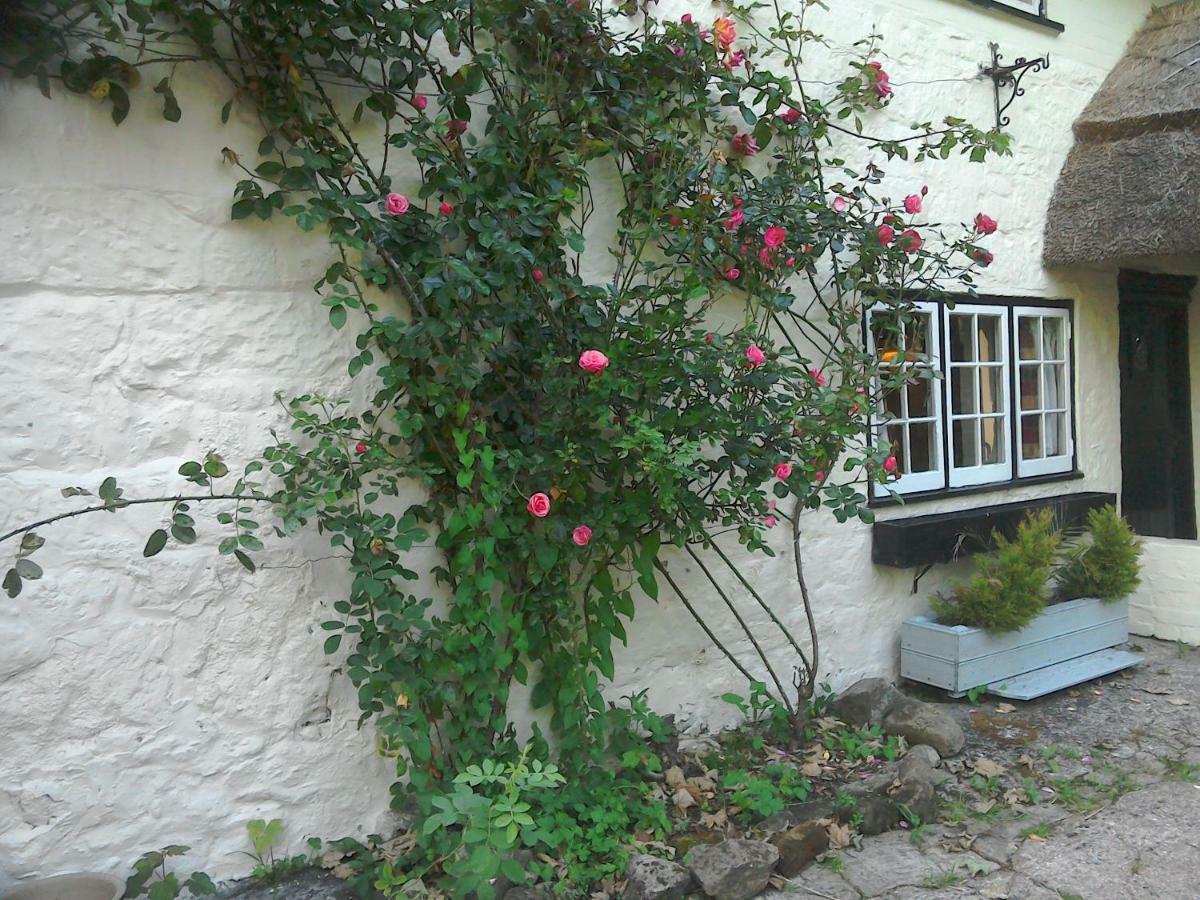 The Crown Inn Alvediston Buitenkant foto